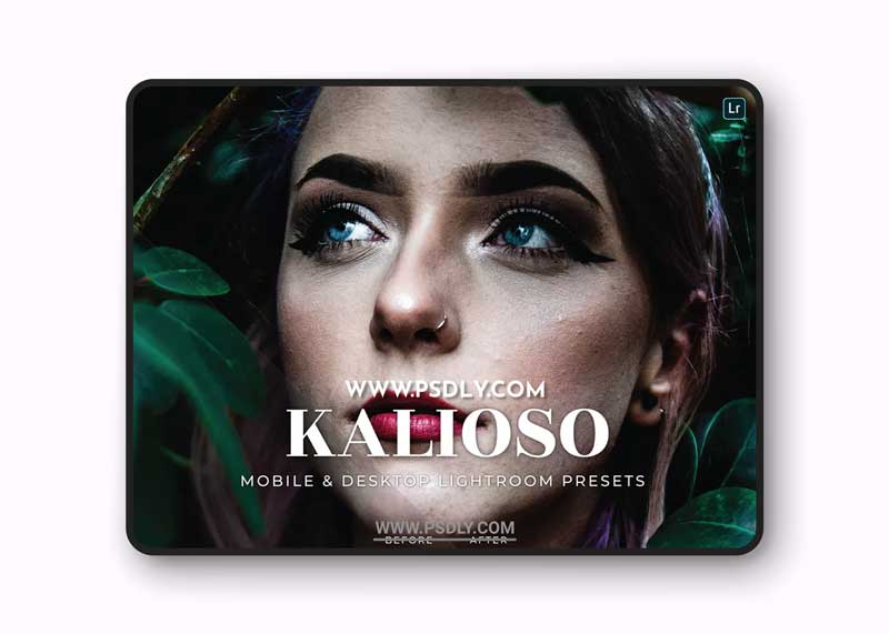 Kalioso Mobile and Desktop Lightroom Presets 1 Kalioso Mobile and Desktop Lightroom Presets
