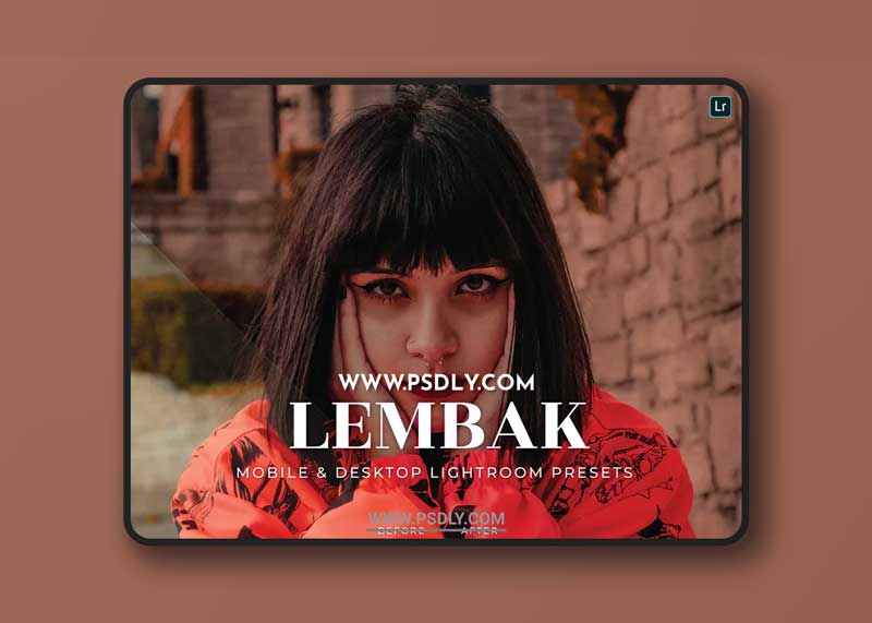 Lembak Mobile and Desktop Lightroom Presets 1 Lembak Mobile and Desktop Lightroom Presets