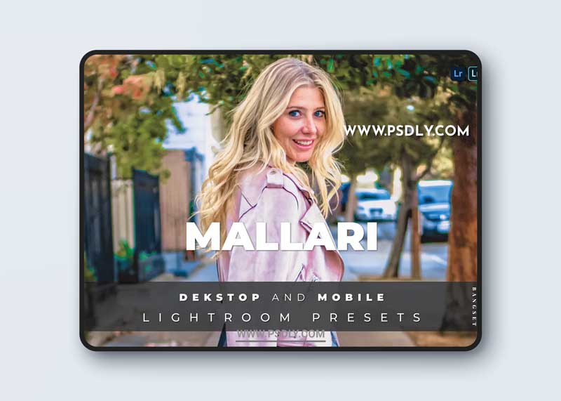 Mallari Desktop and Mobile Lightroom Preset 1 Mallari Desktop and Mobile Lightroom Preset