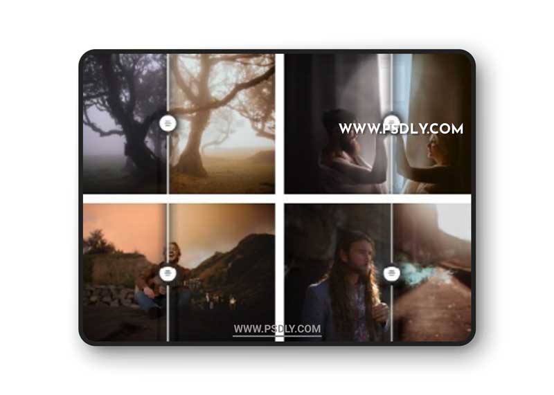 Meridian Presets - Rafal Bojar Presets for ACR 1 Meridian Presets - Rafal Bojar Presets for ACR
