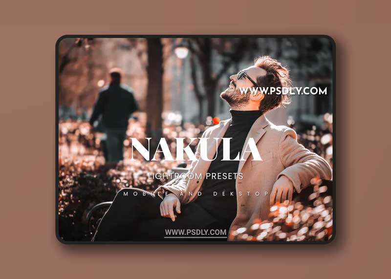 Nakula Lightroom Presets Dekstop and Mobile 1 Nakula Lightroom Presets Dekstop and Mobile