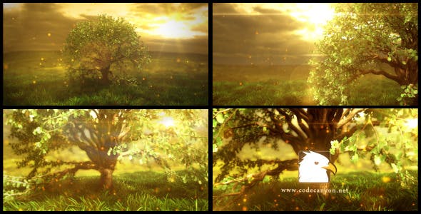 Videohive Nature Logo Reveal 12709139 1 Videohive Nature Logo Reveal 12709139