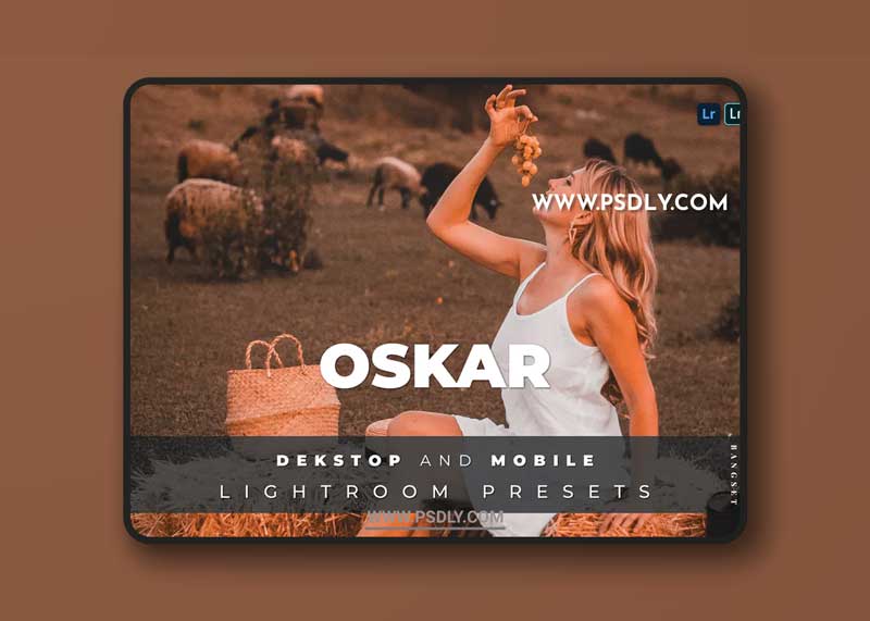 Oskar Desktop and Mobile Lightroom Preset 1 Oskar Desktop and Mobile Lightroom Preset