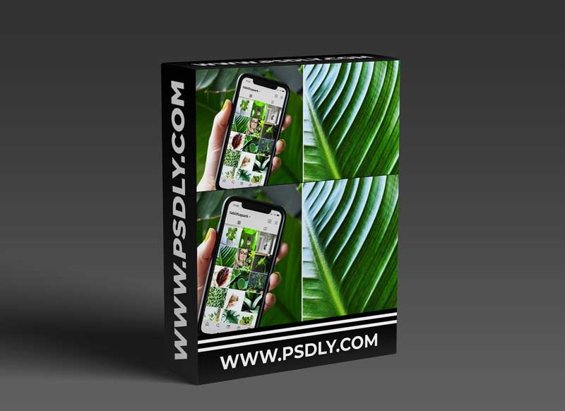 Plant Photography: Take Better Photos at Home for Instagram 1 Plant Photography: Take Better Photos at Home for Instagram