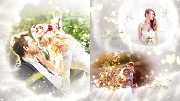 Videohive Wedding Slideshow 31860141 1 Videohive Wedding Slideshow 31860141