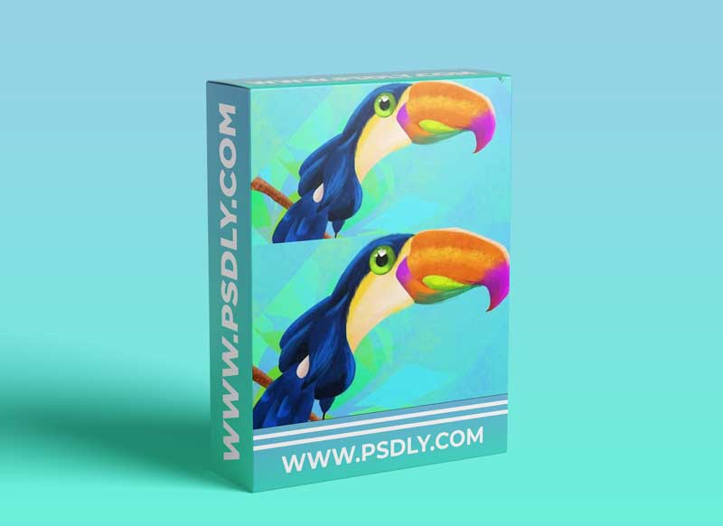 Procreate for Digital Illustration: Toucan bird Super easy colorful 1 Procreate for Digital Illustration: Toucan bird Super easy colorful