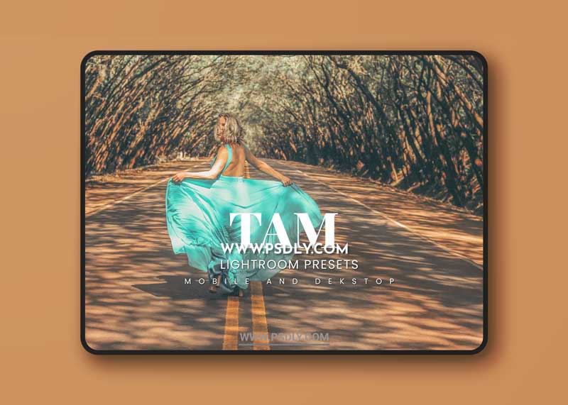 Tam Lightroom Presets Dekstop and Mobile 1 Tam Lightroom Presets Dekstop and Mobile