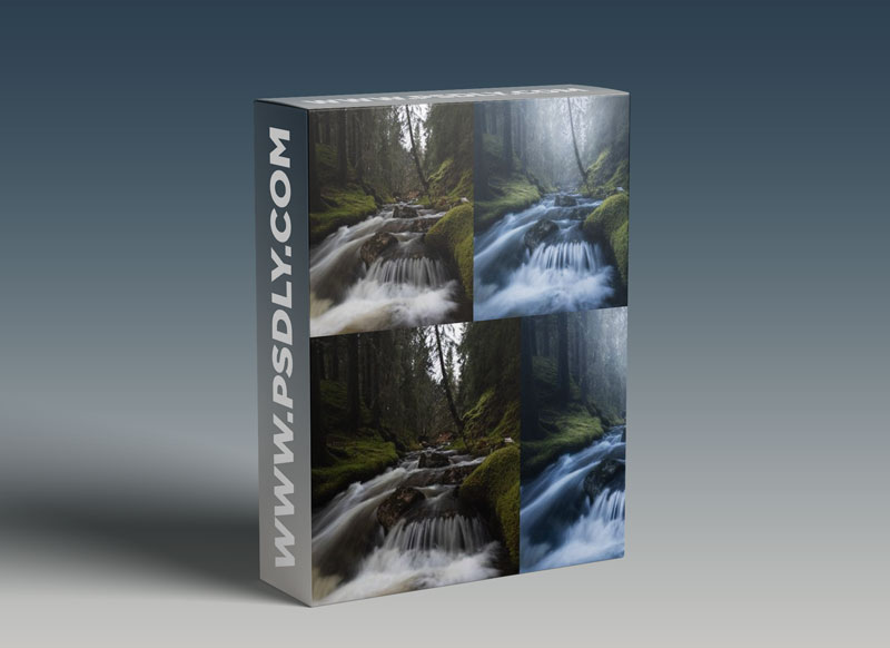 Fredik Stromme - The Misty Forest Edit 1 Fredik Stromme - The Misty Forest Edit