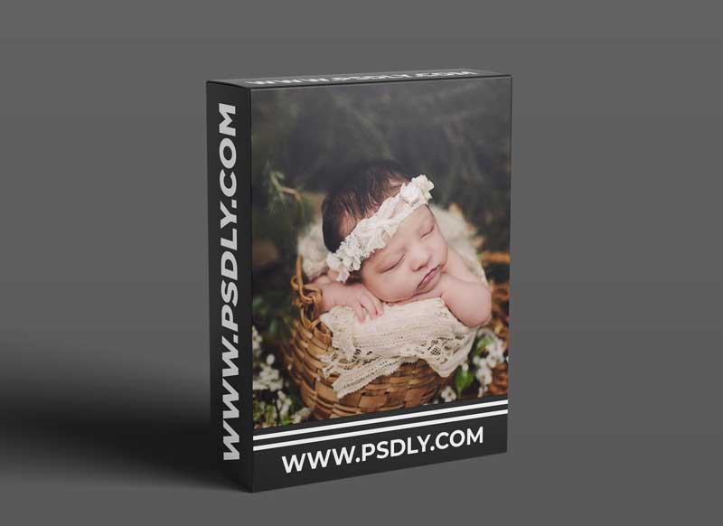 Twig & Olive Photography - Newborn - Bucket Pose 1 Twig & Olive Photography - Newborn - Bucket Pose
