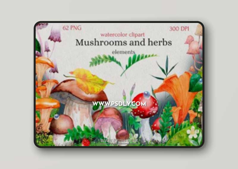 Watercolor Cliparts of Mushrooms 14755508 1 Watercolor Cliparts of Mushrooms 14755508