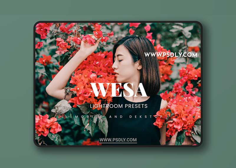 Wesa Lightroom Presets Dekstop and Mobile 1 Wesa Lightroom Presets Dekstop and Mobile