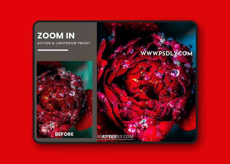 Zoom In Fx Photoshop Action & Lightrom Presets 1 Zoom In Fx Photoshop Action & Lightrom Presets