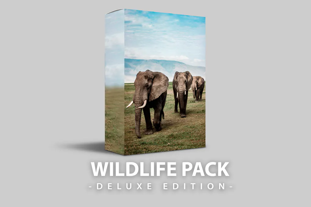 Wildlife | Deluxe Edition for mobile and desktop 1 Wildlife | Deluxe Edition for mobile and desktop