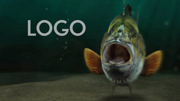 Videohive Fishing Opener 33600676 1 Videohive Fishing Opener 33600676