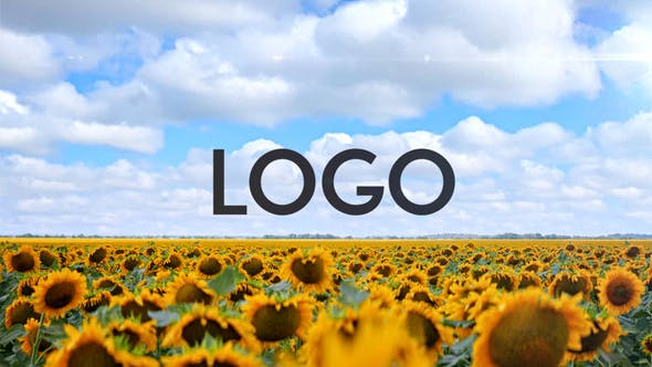 Videohive Sunflower Opener 33348696 1 Videohive Sunflower Opener 33348696
