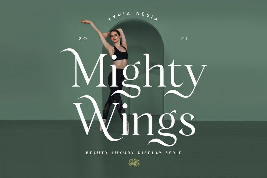 Mighty Wings - Elegant Classy Display Serif 1 Mighty Wings - Elegant Classy Display Serif
