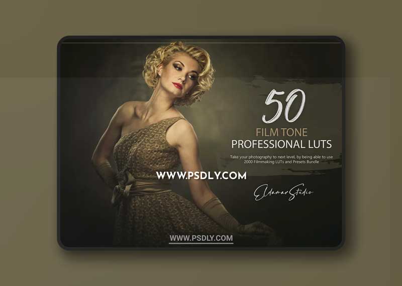 50 Film Tone LUTs and Presets Pack 1 50 Film Tone LUTs and Presets Pack