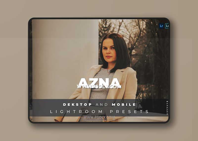 Azna Desktop and Mobile Lightroom Preset 1 Azna Desktop and Mobile Lightroom Preset