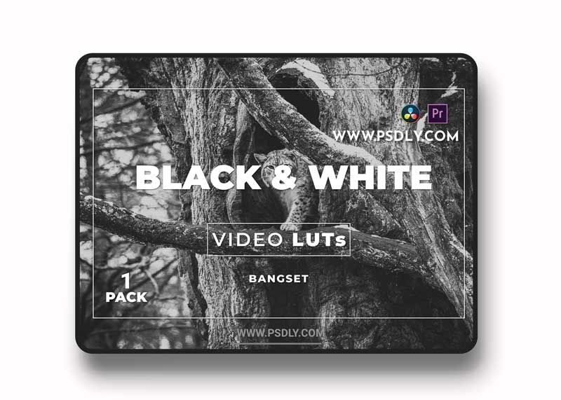 Bangset Black & White Pack 1 Video LUTs 1 Bangset Black & White Pack 1 Video LUTs