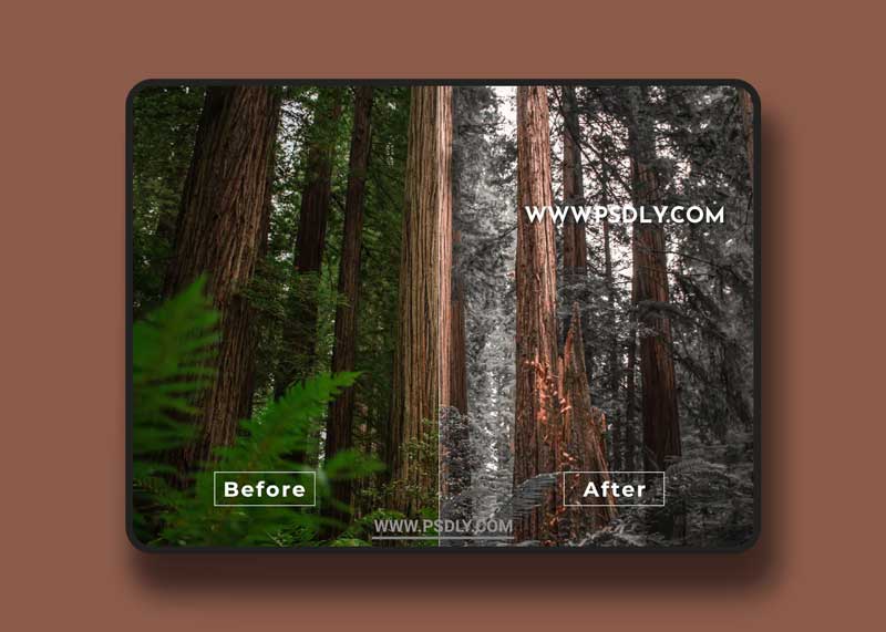 Bangset Cinema Pack 21 Video LUTs 1 Bangset Cinema Pack 21 Video LUTs