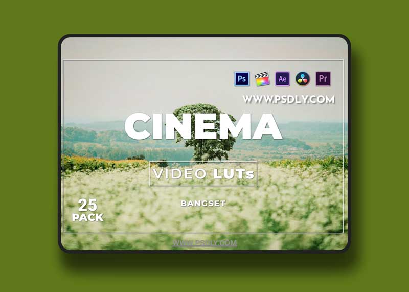 Bangset Cinema Pack 25 Video LUTs 1 Bangset Cinema Pack 25 Video LUTs