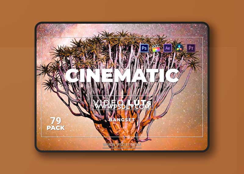 Bangset Cinematic Pack 79 Video LUTs FJ6WLRW 1 Bangset Cinematic Pack 79 Video LUTs FJ6WLRW