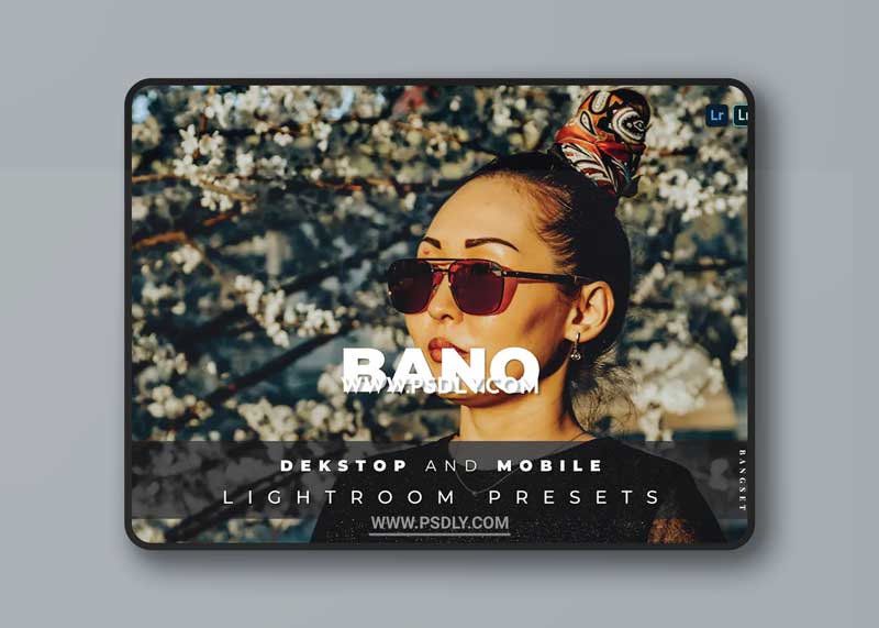 Bano Desktop and Mobile Lightroom Preset 1 Bano Desktop and Mobile Lightroom Preset