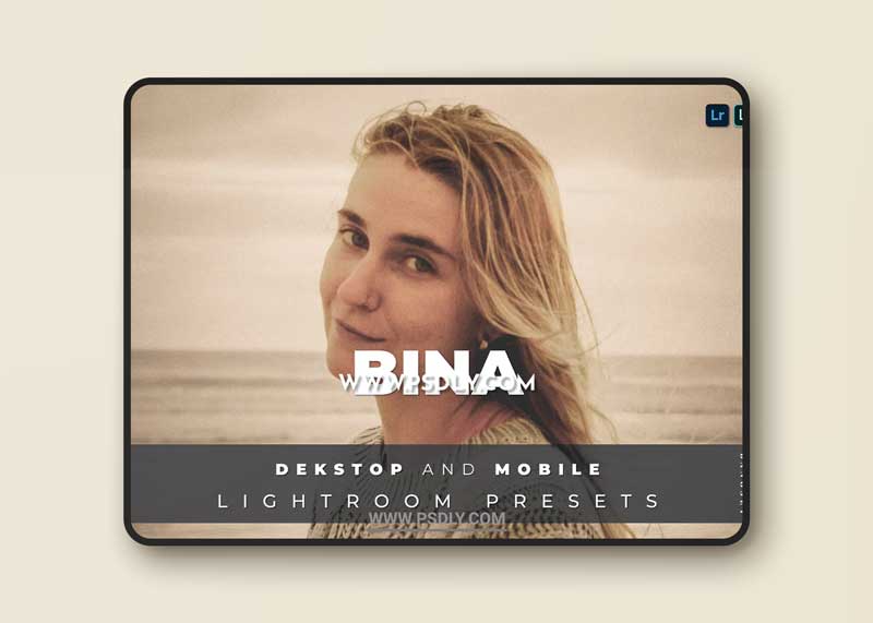Bina Desktop and Mobile Lightroom Preset 1 Bina Desktop and Mobile Lightroom Preset