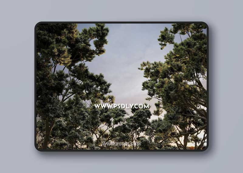CG Helios – Helios Vegetation vol.2 1 CG Helios – Helios Vegetation vol.2