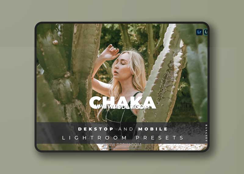 Chaka Desktop and Mobile Lightroom Preset 1 Chaka Desktop and Mobile Lightroom Preset