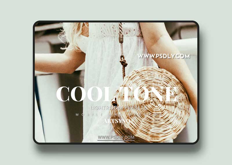 Cool Tone Lightroom Presets Dekstop and Mobile 89C3YHS 1 Cool Tone Lightroom Presets Dekstop and Mobile 89C3YHS