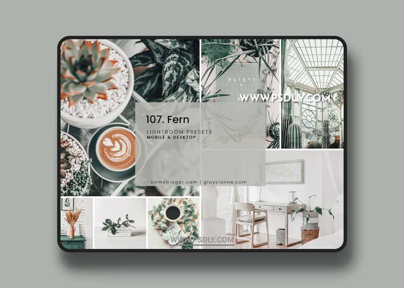CreativeMarket - 107. Fern Presets 5741108 1 CreativeMarket - 107. Fern Presets 5741108