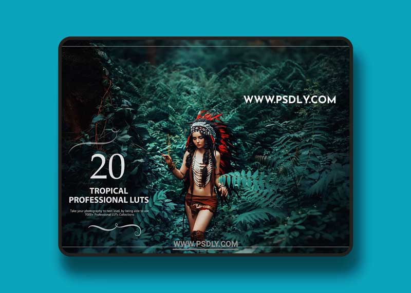 CreativeMarket - 20 Tropical LUTs Pack 5602683 1 CreativeMarket - 20 Tropical LUTs Pack 5602683
