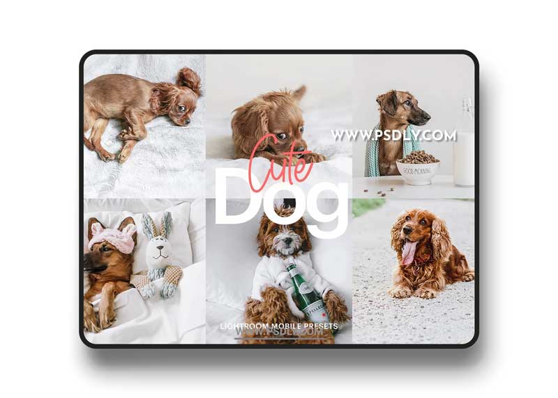 CreativeMarket - Lightroom Preset-Cute Dog Theme 4972692 1 CreativeMarket - Lightroom Preset-Cute Dog Theme 4972692