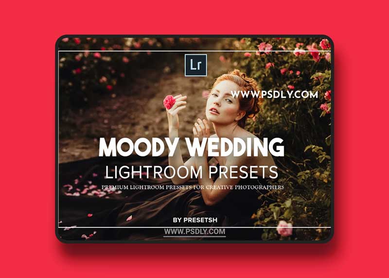 CreativeMarket - Moody Wedding Lightroom Presets 5125346 1 CreativeMarket - Moody Wedding Lightroom Presets 5125346