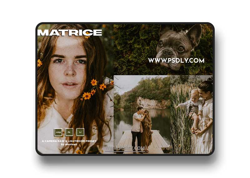 CreativeMarket - MustaART - Matrice - XMP Preset 5435733 1 CreativeMarket - MustaART - Matrice - XMP Preset 5435733