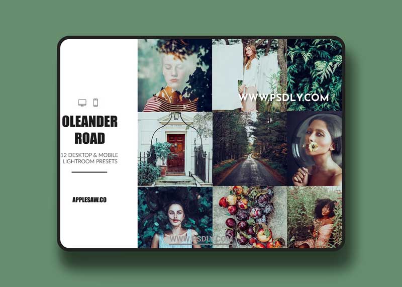 CreativeMarket - Oleander Road Lightroom Presets 5270591 1 CreativeMarket - Oleander Road Lightroom Presets 5270591