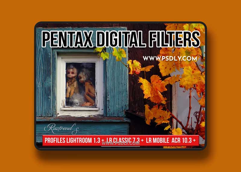 CreativeMarket - Pentax Digital Filters 5773069 1 CreativeMarket - Pentax Digital Filters 5773069
