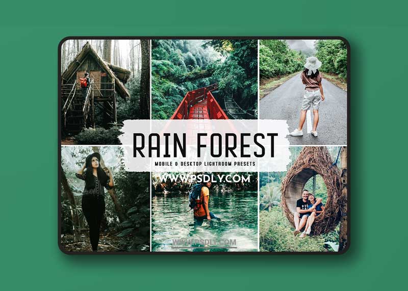 CreativeMarket - Rain Forest Pro Lightroom Presets 6346185 1 CreativeMarket - Rain Forest Pro Lightroom Presets 6346185