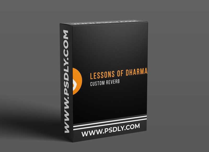 Dharma World Wide Custom Reverb 1 Dharma World Wide Custom Reverb