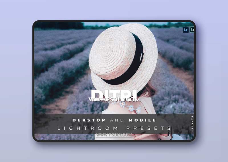 Ditri Desktop and Mobile Lightroom Preset 1 Ditri Desktop and Mobile Lightroom Preset