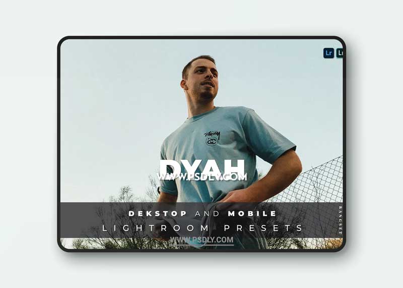 Dyah Desktop and Mobile Lightroom Preset 1 Dyah Desktop and Mobile Lightroom Preset