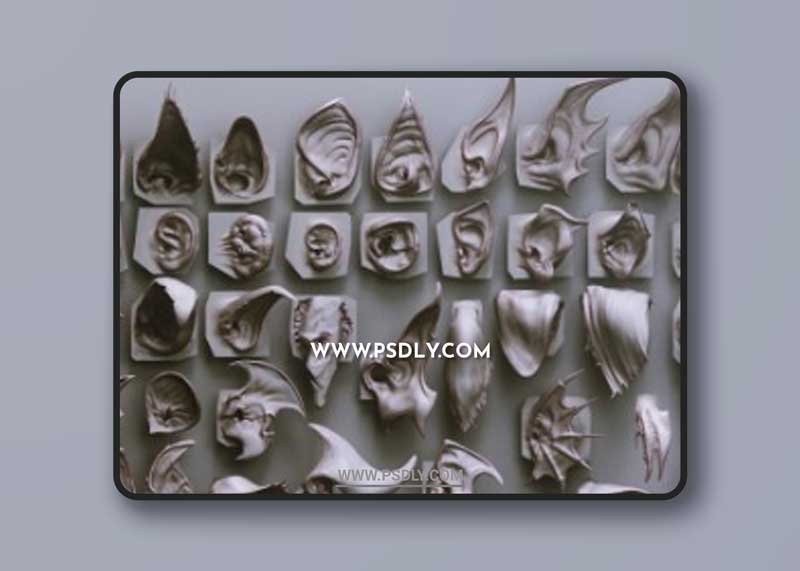 EARS - 40 ZBrush VDMs 1 EARS - 40 ZBrush VDMs
