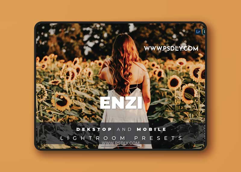 Enzi Desktop and Mobile Lightroom Preset 1 Enzi Desktop and Mobile Lightroom Preset