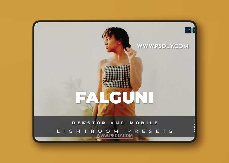 Falguni Desktop and Mobile Lightroom Preset 1 Falguni Desktop and Mobile Lightroom Preset