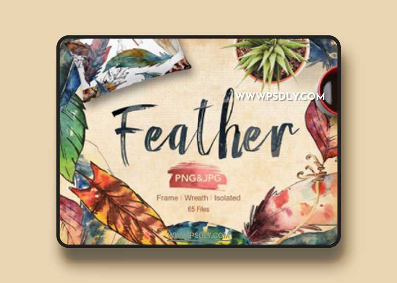 Feather bird PNG watercolor set 1 Feather bird PNG watercolor set