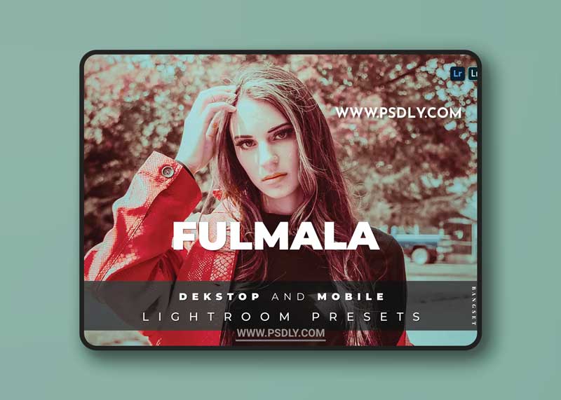 Fulmala Desktop and Mobile Lightroom Preset 1 Fulmala Desktop and Mobile Lightroom Preset