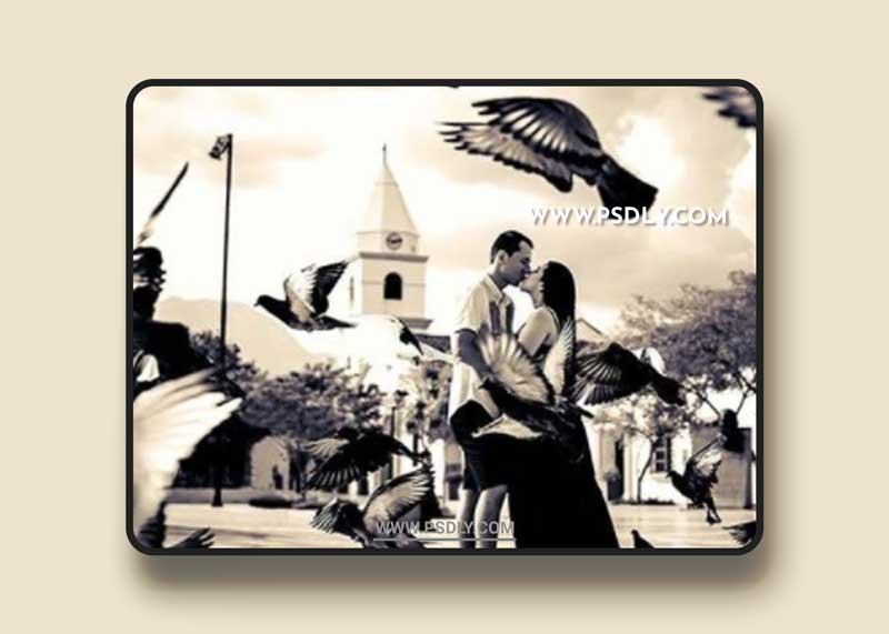 GraphicRiver - 20 Black & White Tone Photoshop Action 26960979 1 GraphicRiver - 20 Black & White Tone Photoshop Action 26960979