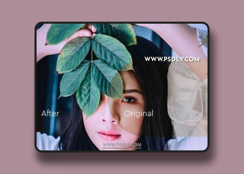 GraphicRiver - 25 Instra Portrait Preset 23982308 1 GraphicRiver - 25 Instra Portrait Preset 23982308