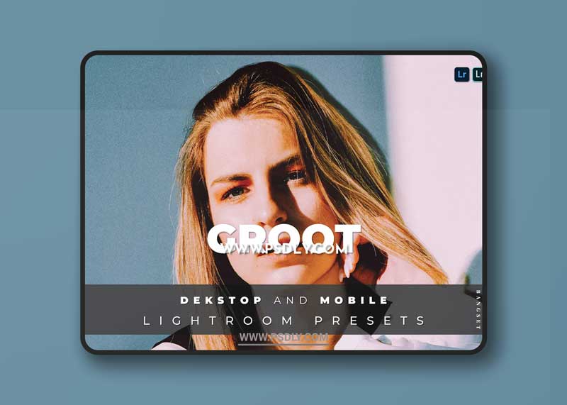 Groot Desktop and Mobile Lightroom Preset 1 Groot Desktop and Mobile Lightroom Preset